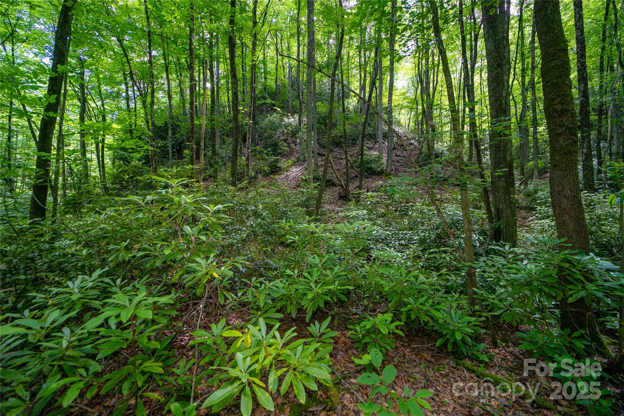 4277 Pickens Highway