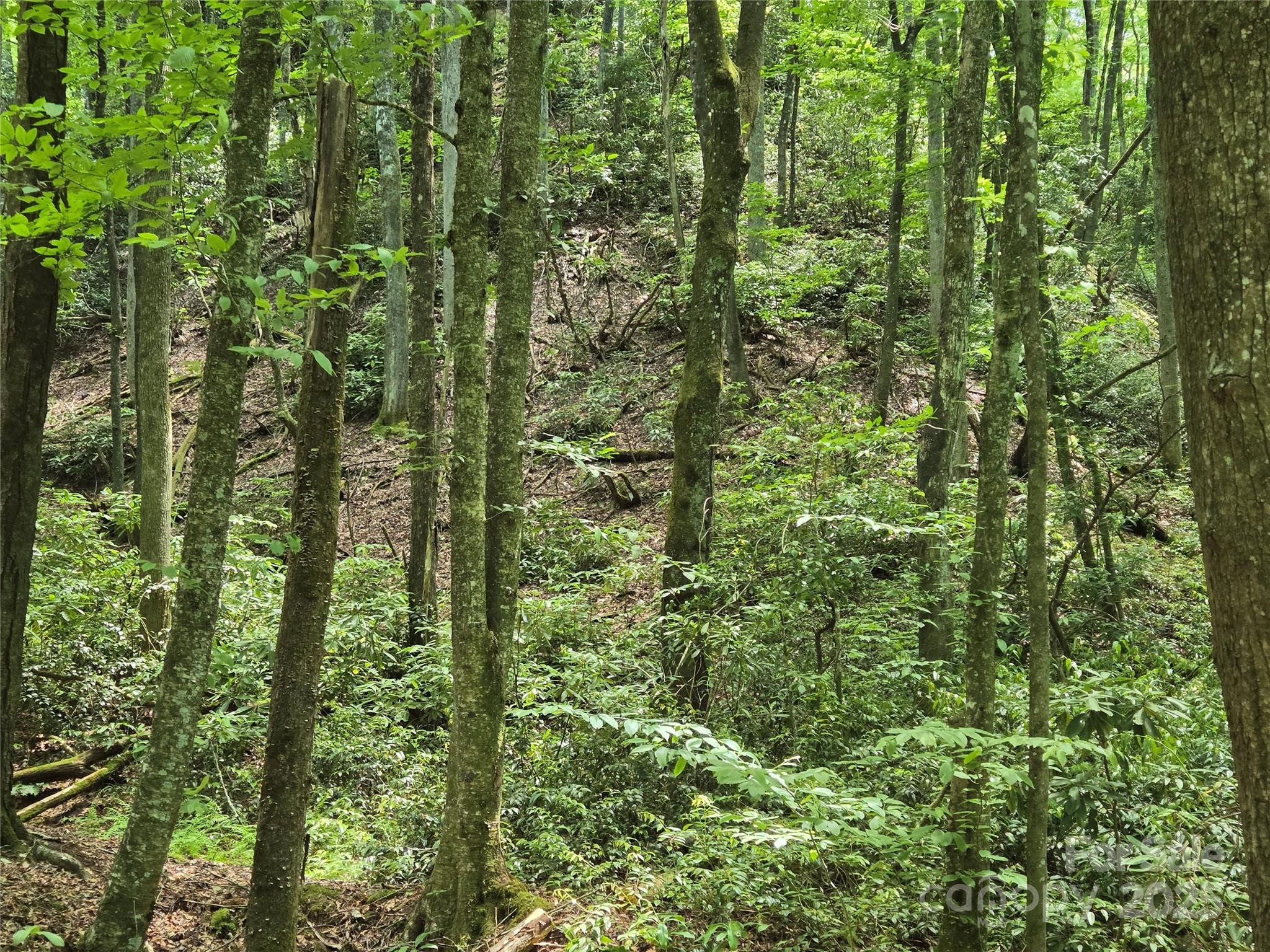 4277 Pickens Highway