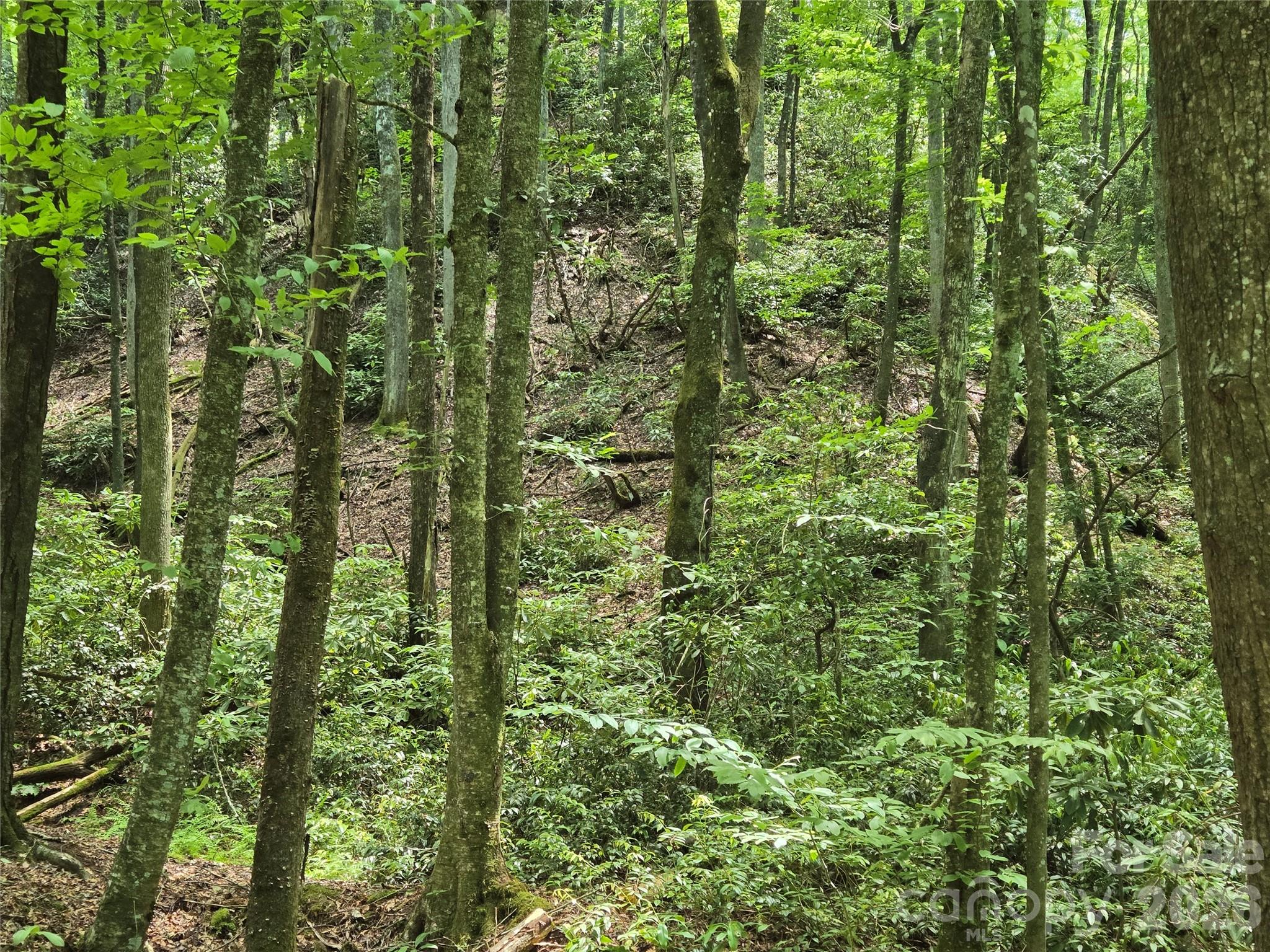 4277 Pickens Highway