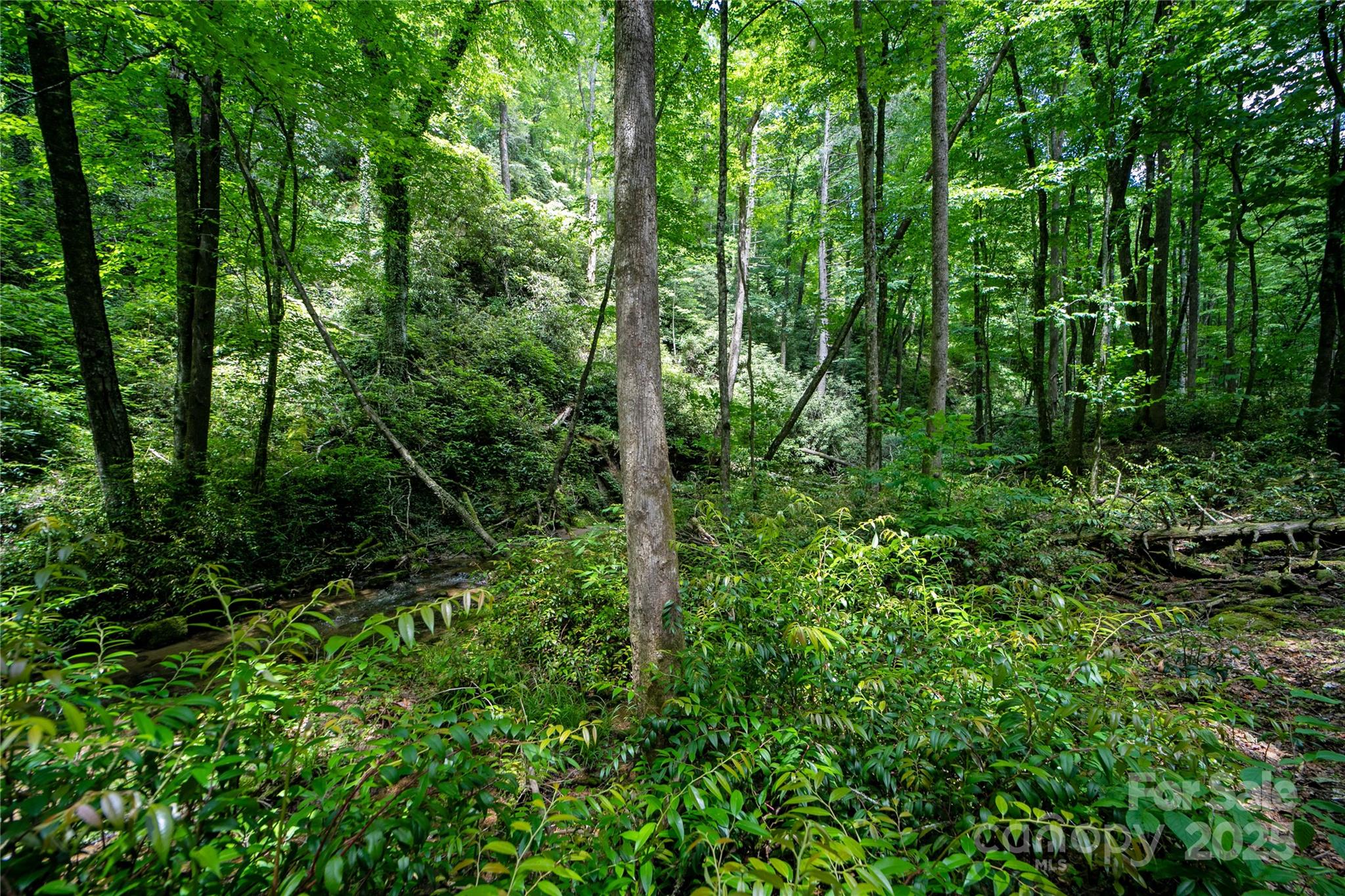 4277 Pickens Highway