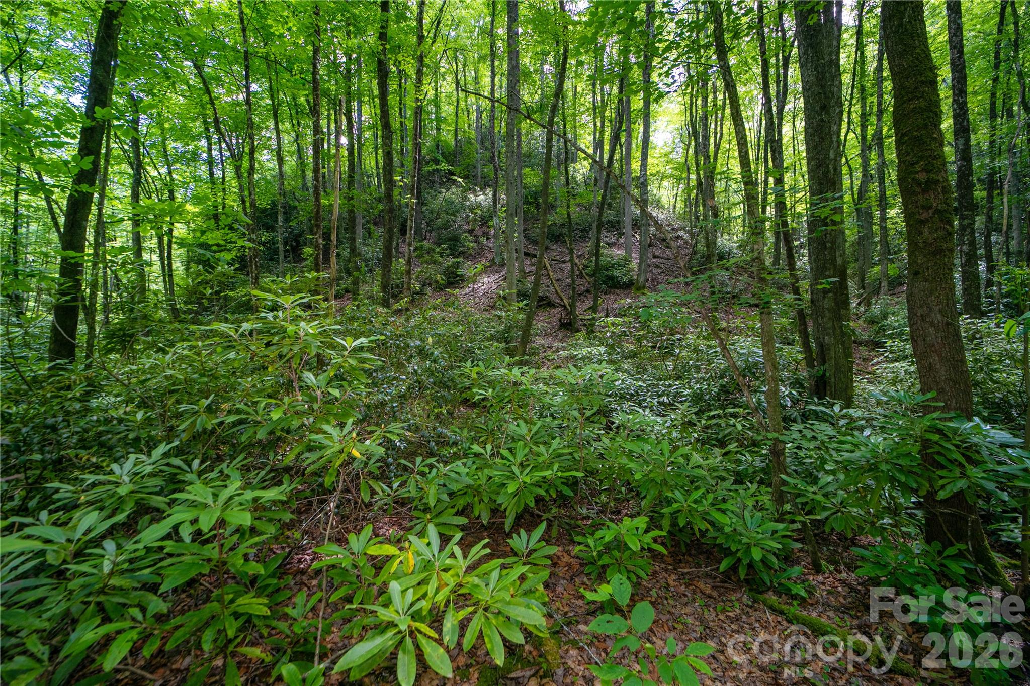 4277 Pickens Highway