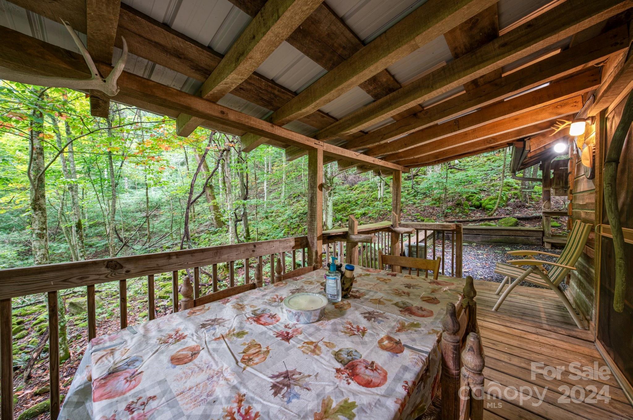 99 AUTUMN LEAF Trail