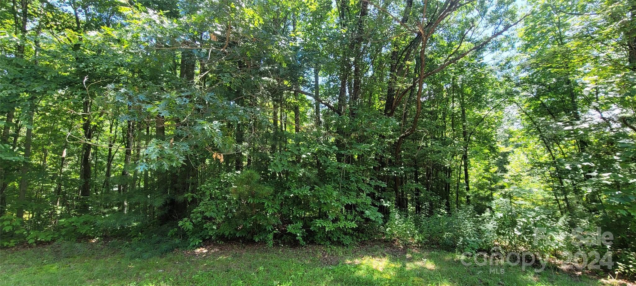 1991 Fox Hollow Road