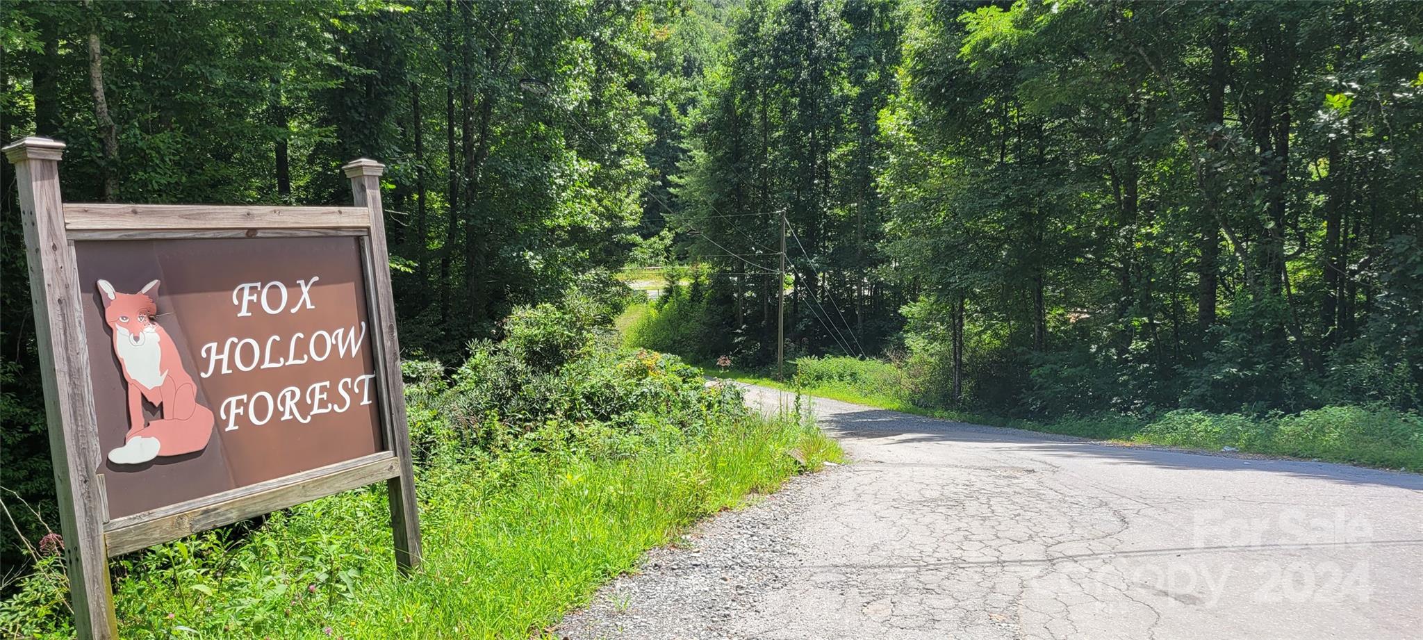 1991 Fox Hollow Road