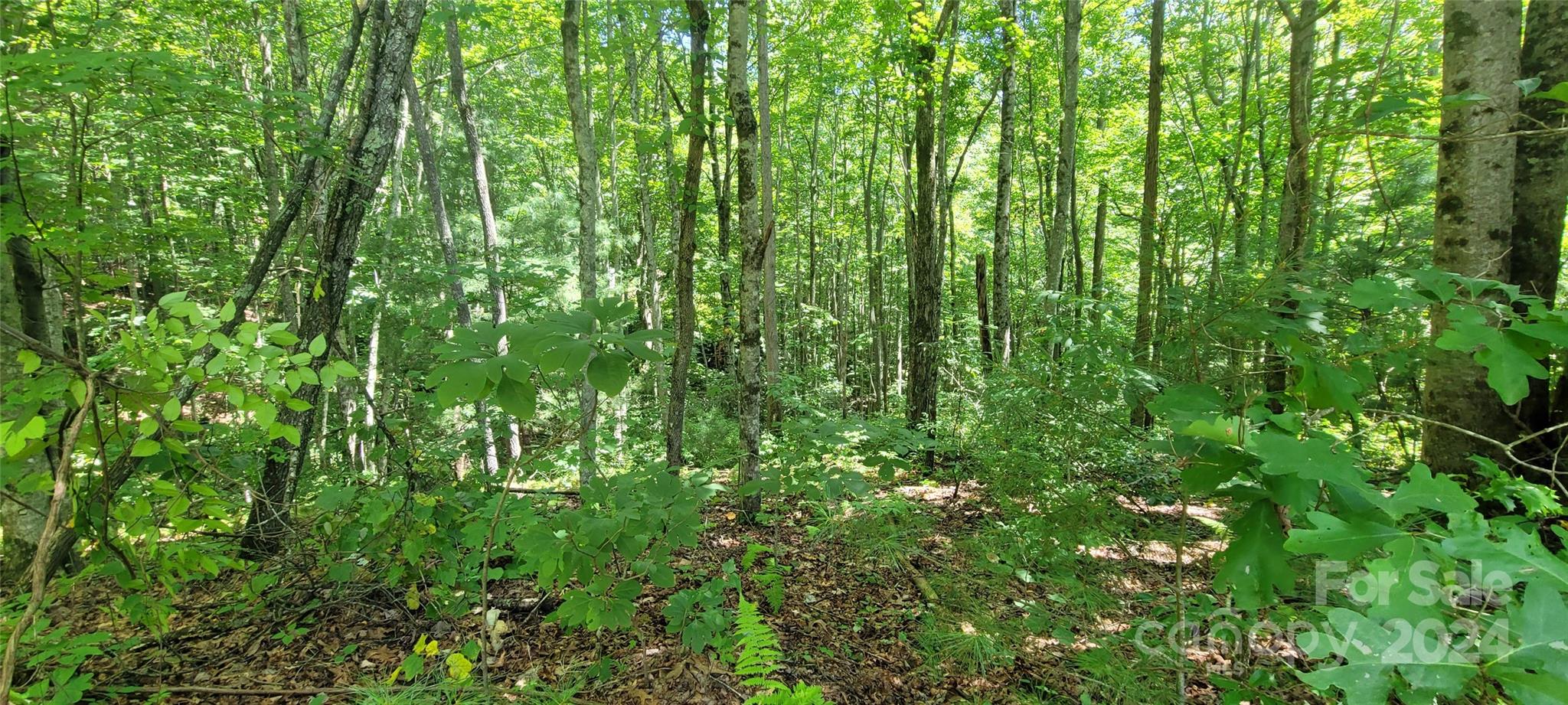1991 Fox Hollow Road