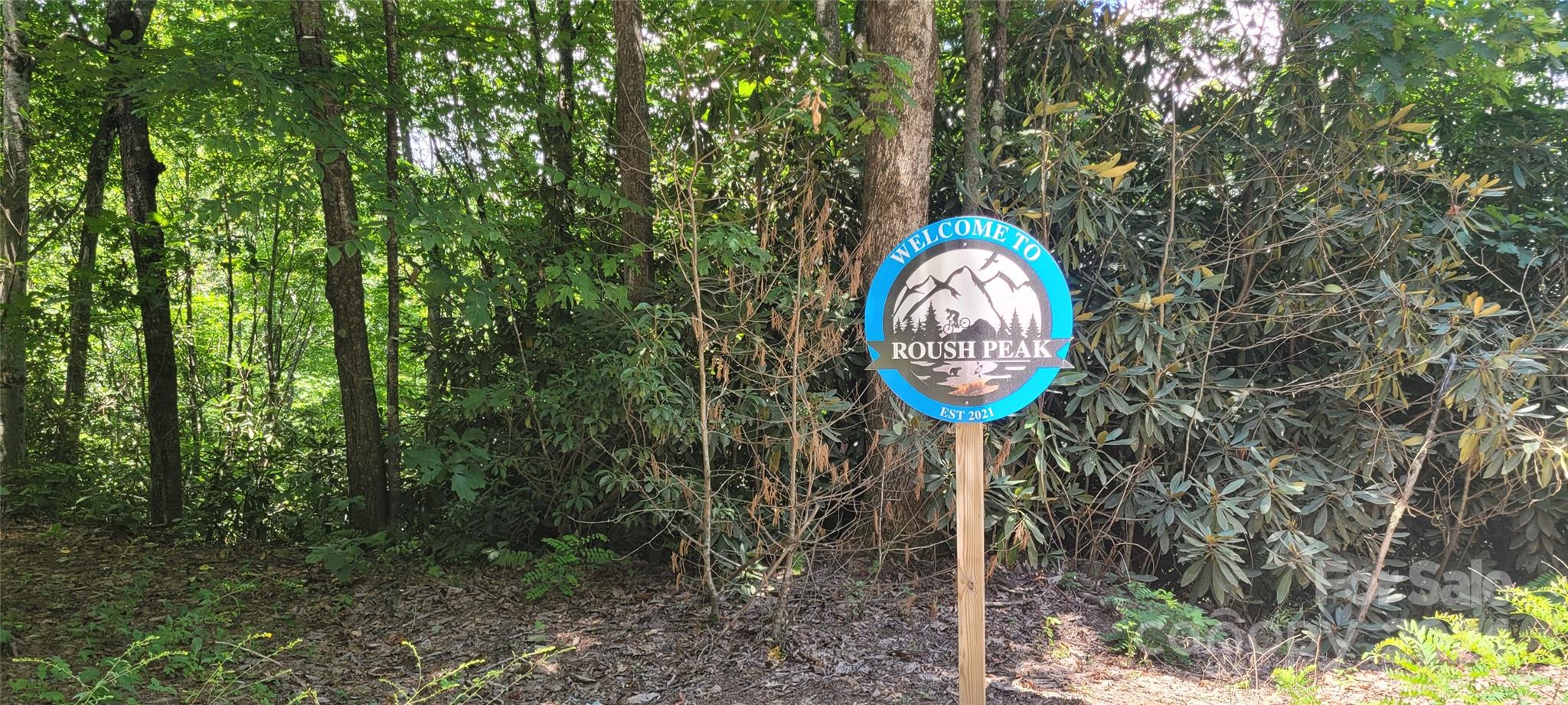 1991 Fox Hollow Road