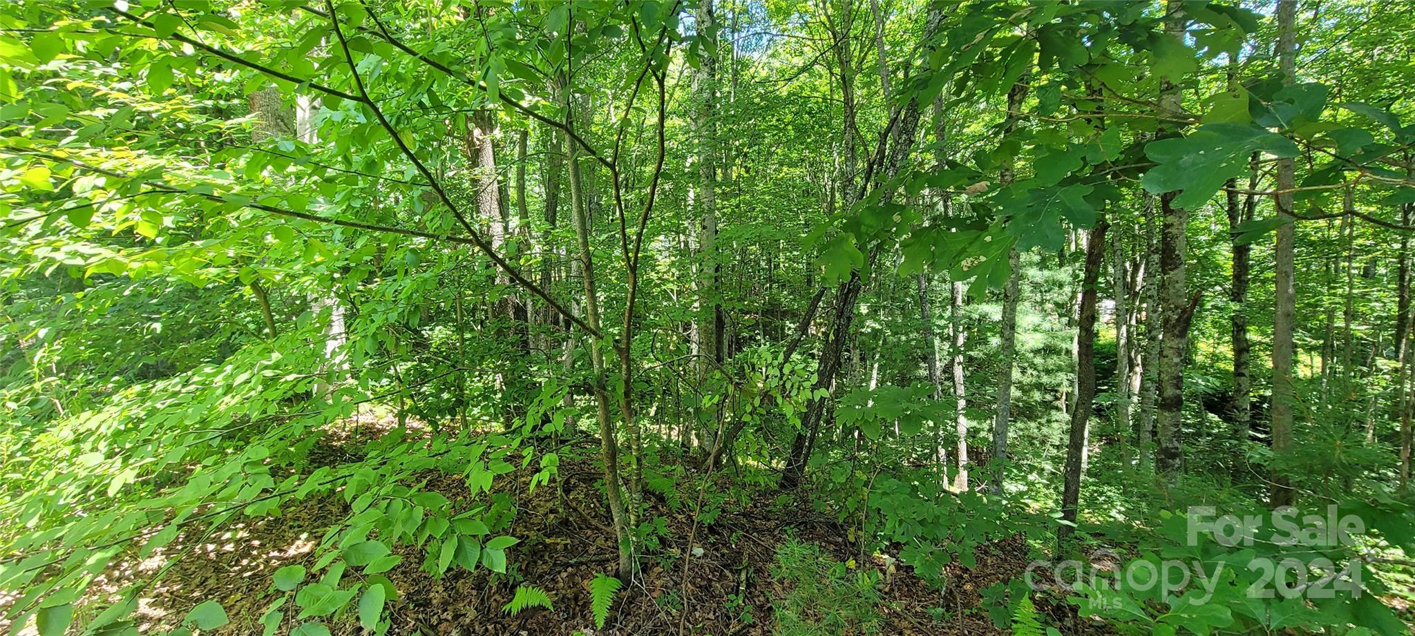 1991 Fox Hollow Road