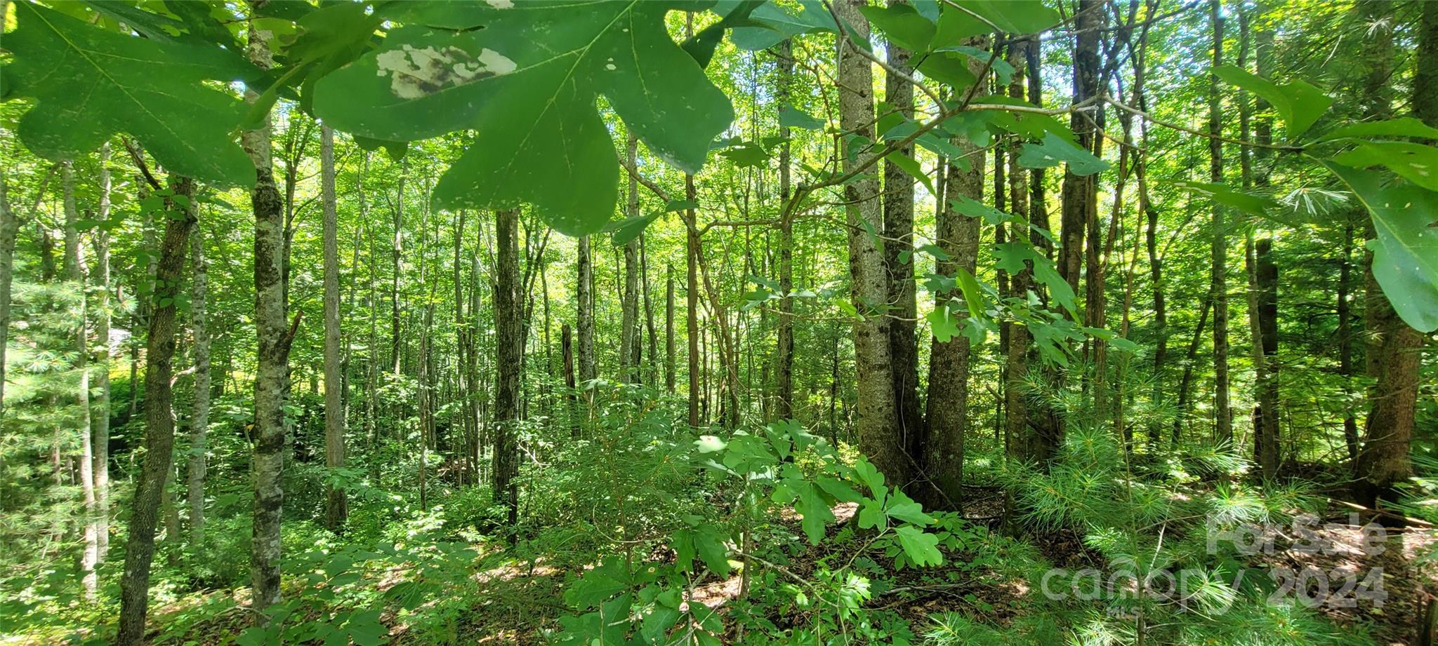 1991 Fox Hollow Road