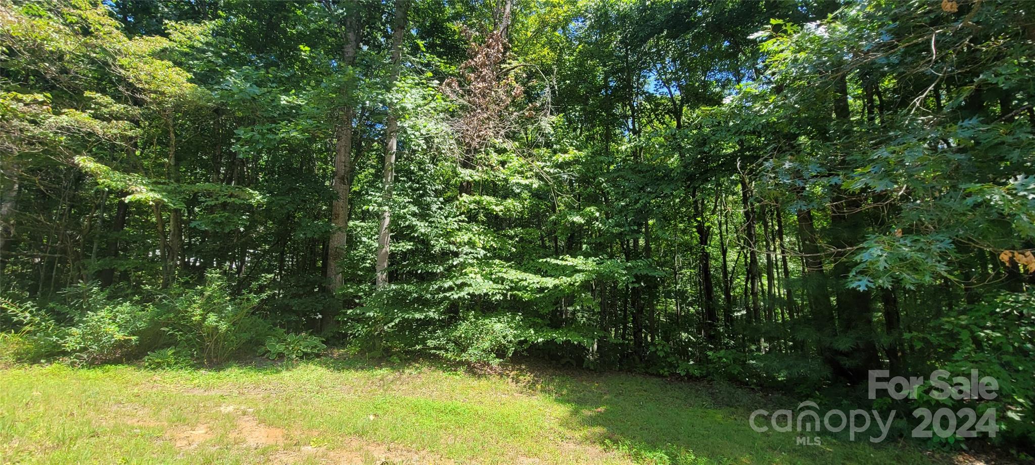 1991 Fox Hollow Road