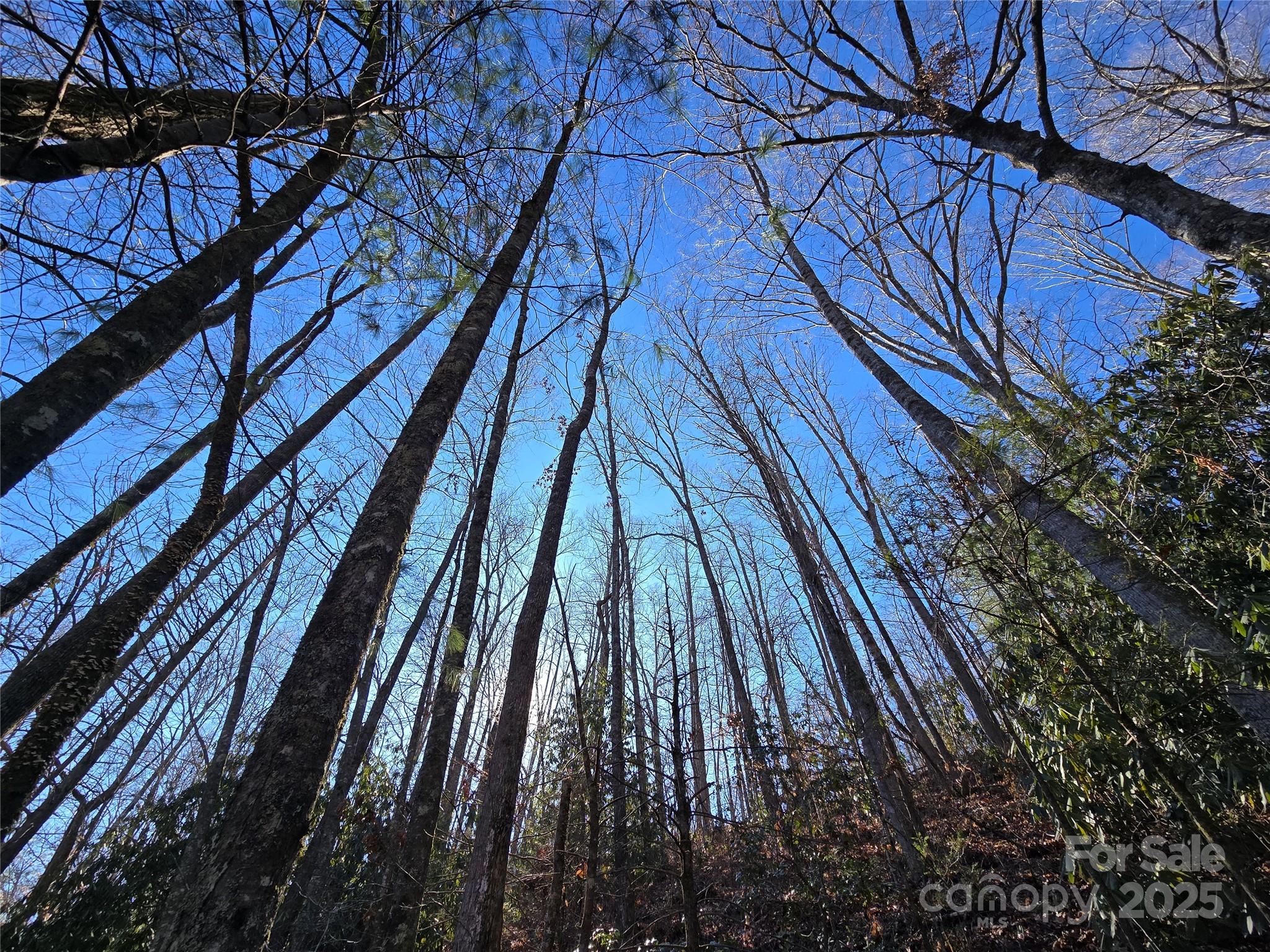 25 Rush Creek Road