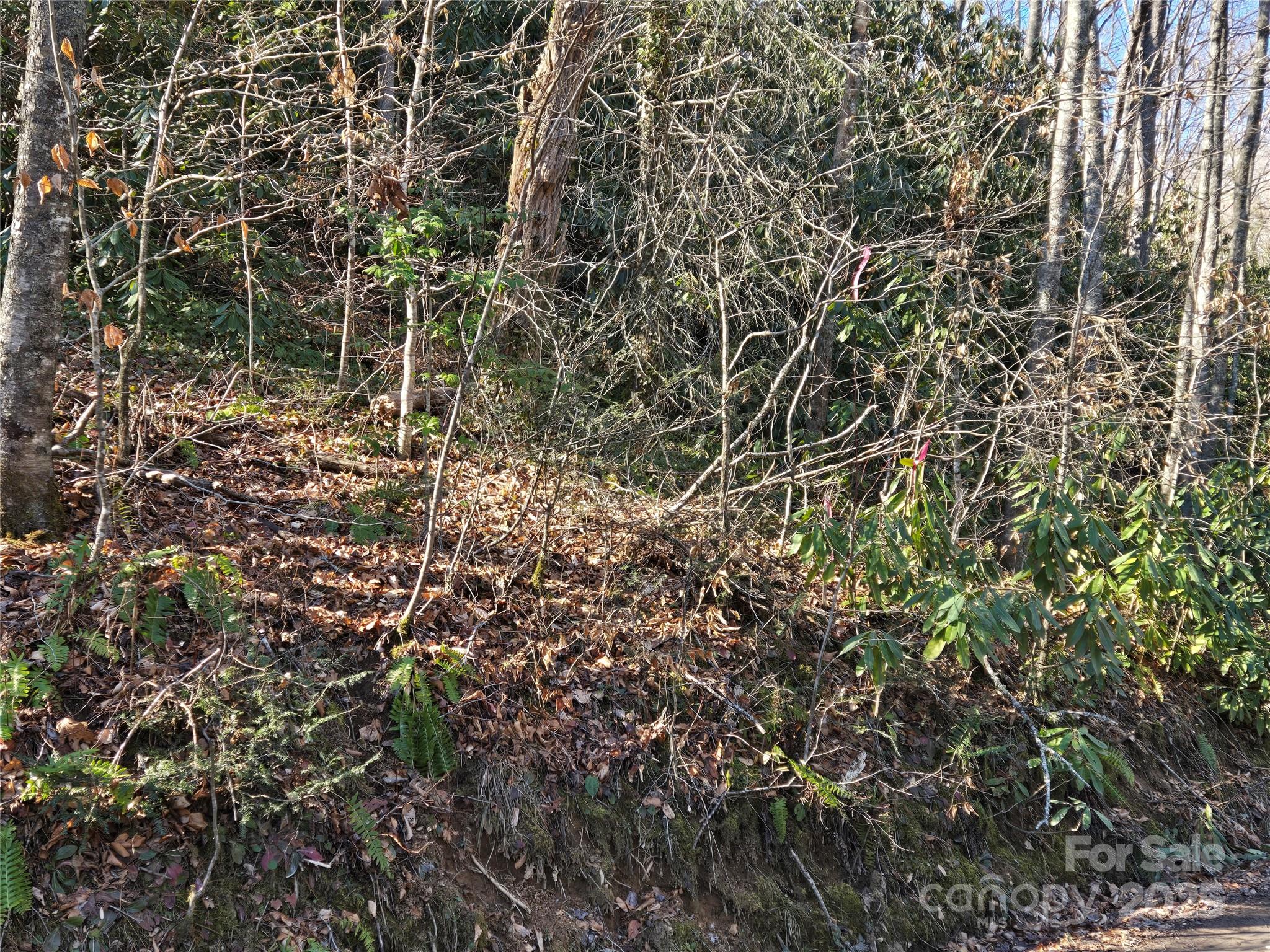 25 Rush Creek Road
