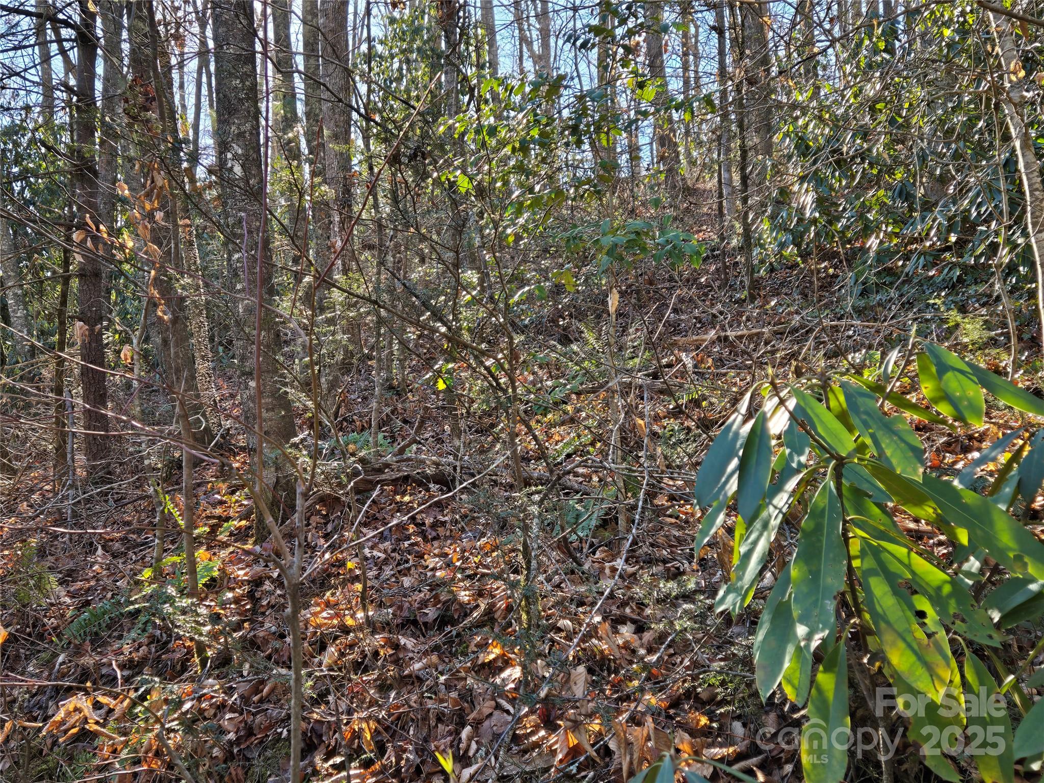 25 Rush Creek Road