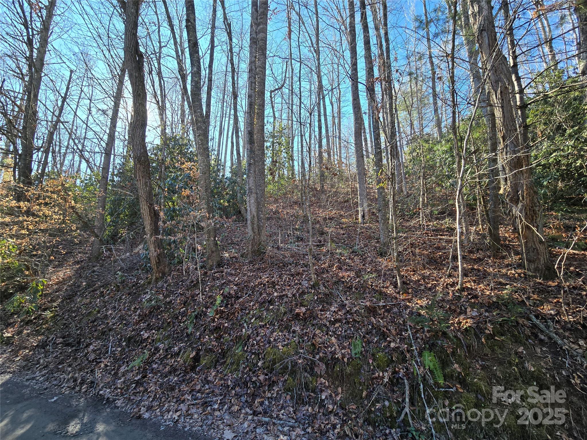 25 Rush Creek Road