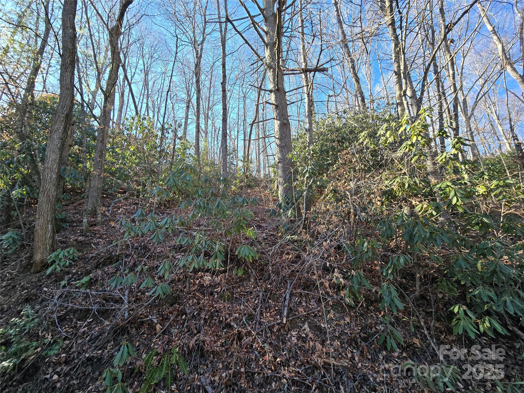 25 Rush Creek Road