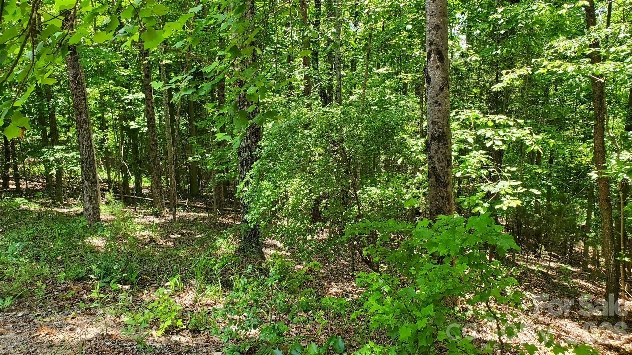 755 Hamilton Drive