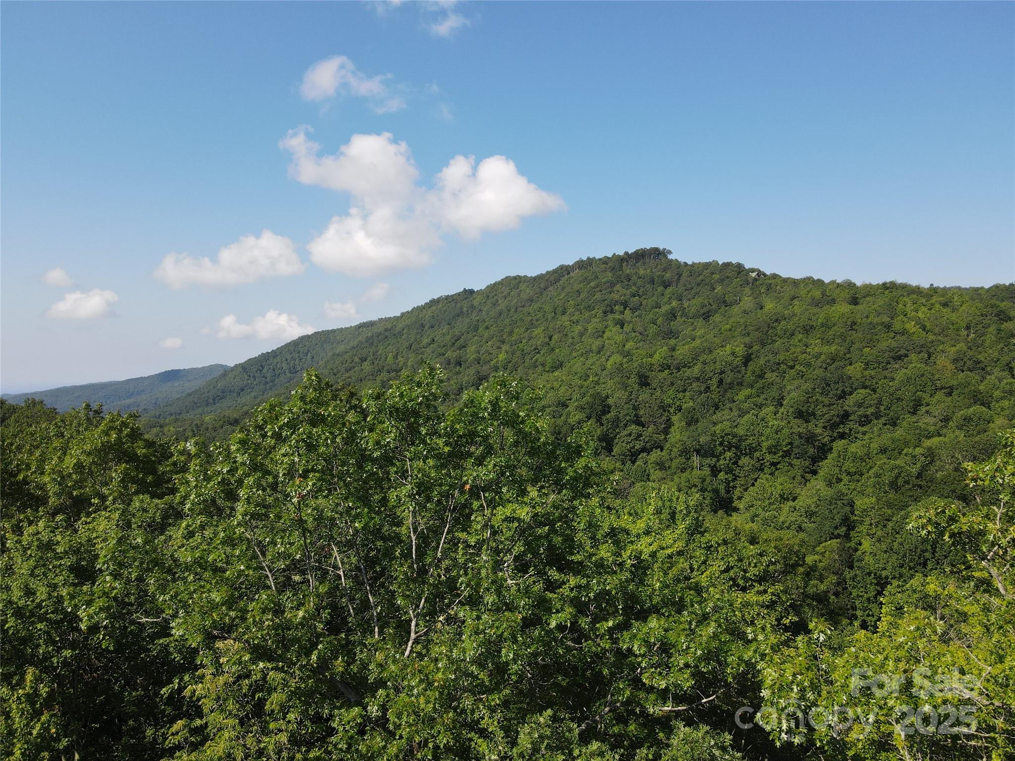 147 Hummingbird Hollow