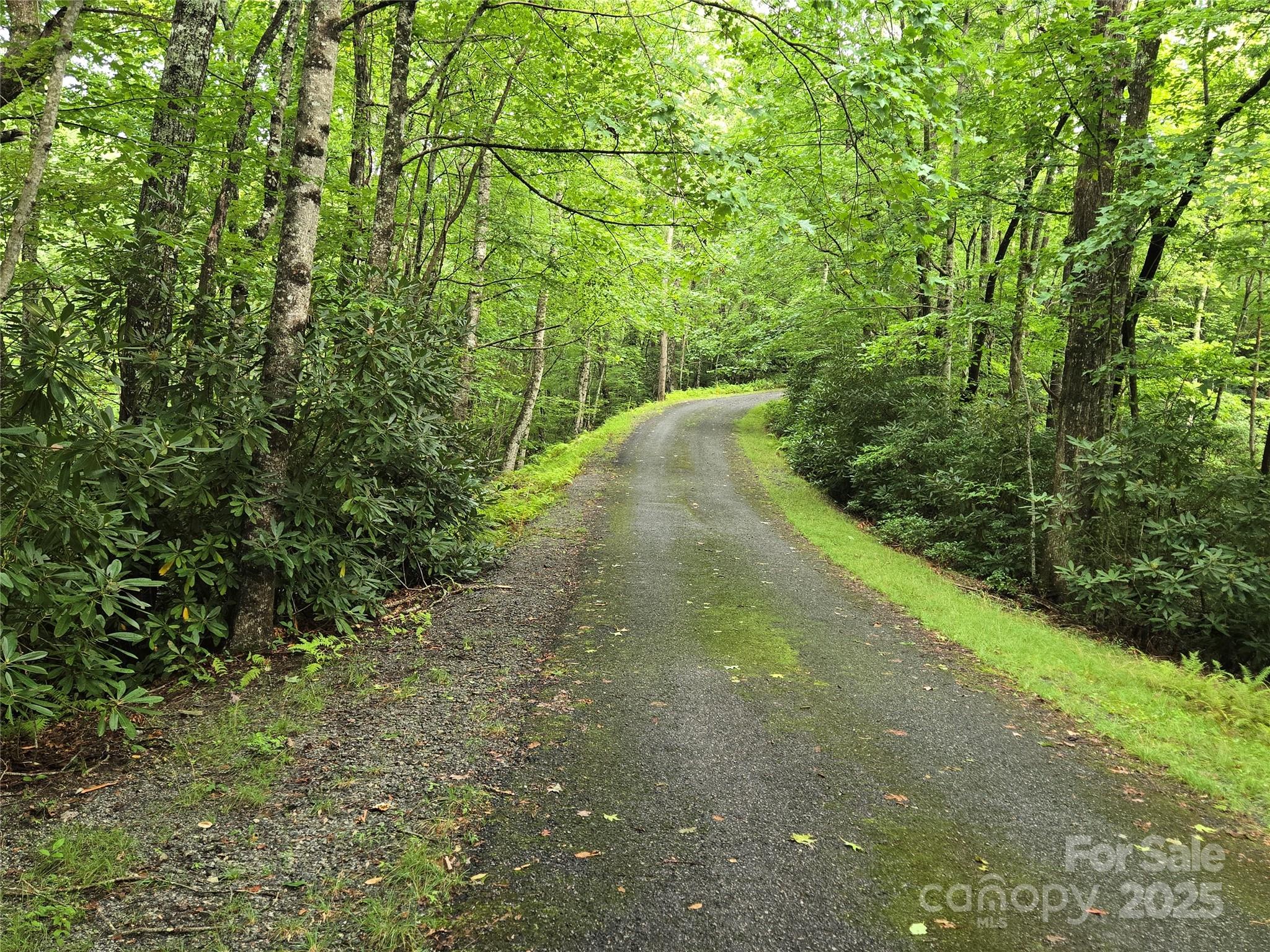 147 Hummingbird Hollow