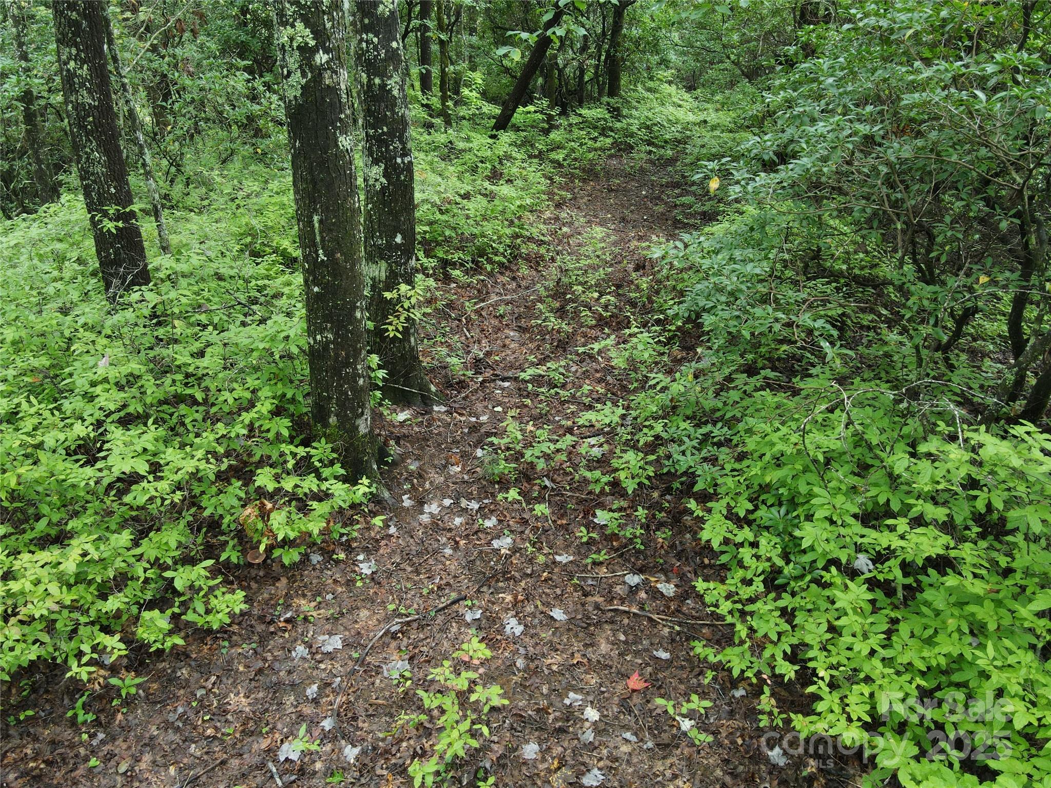 147 Hummingbird Hollow