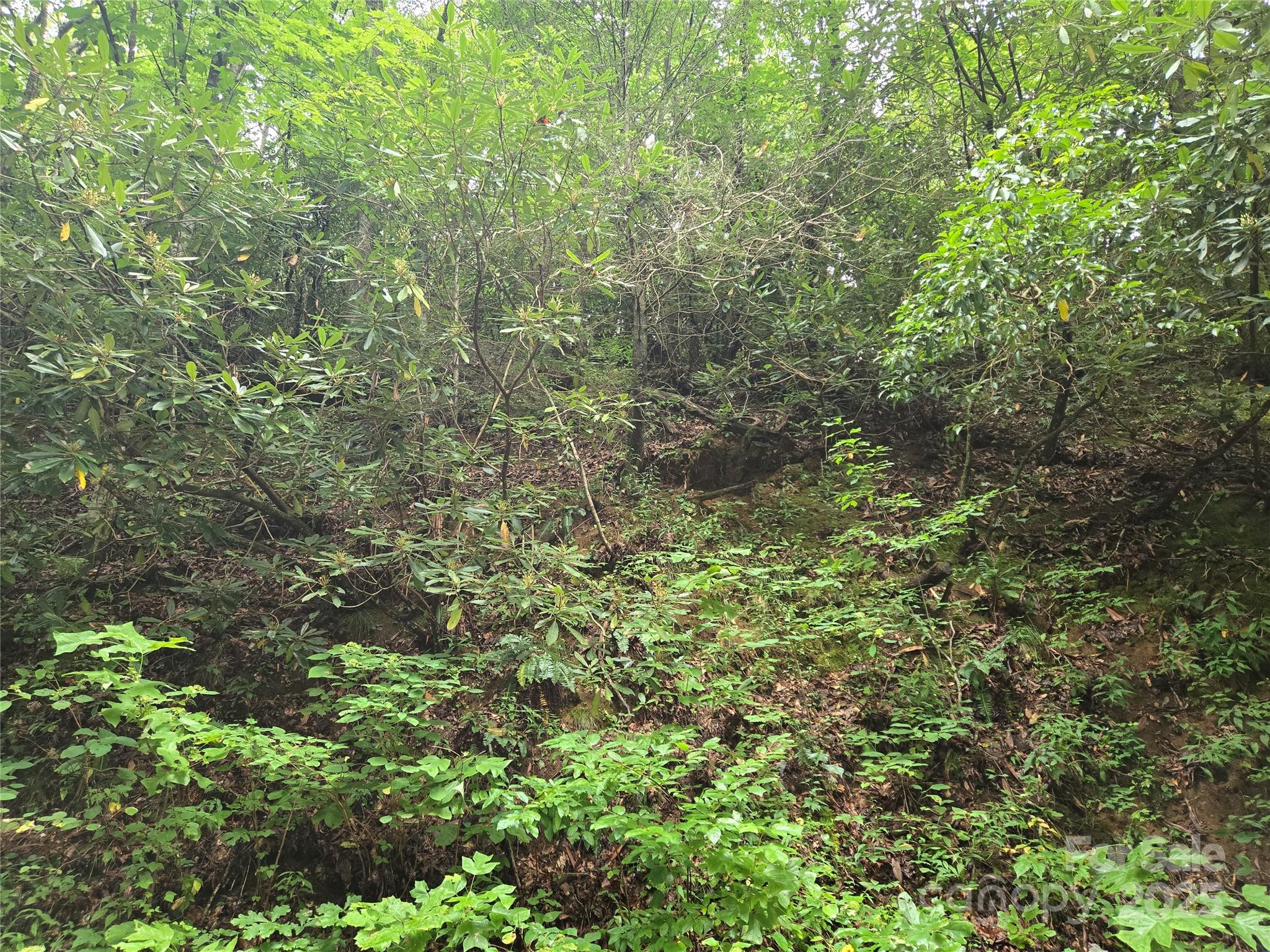 147 Hummingbird Hollow