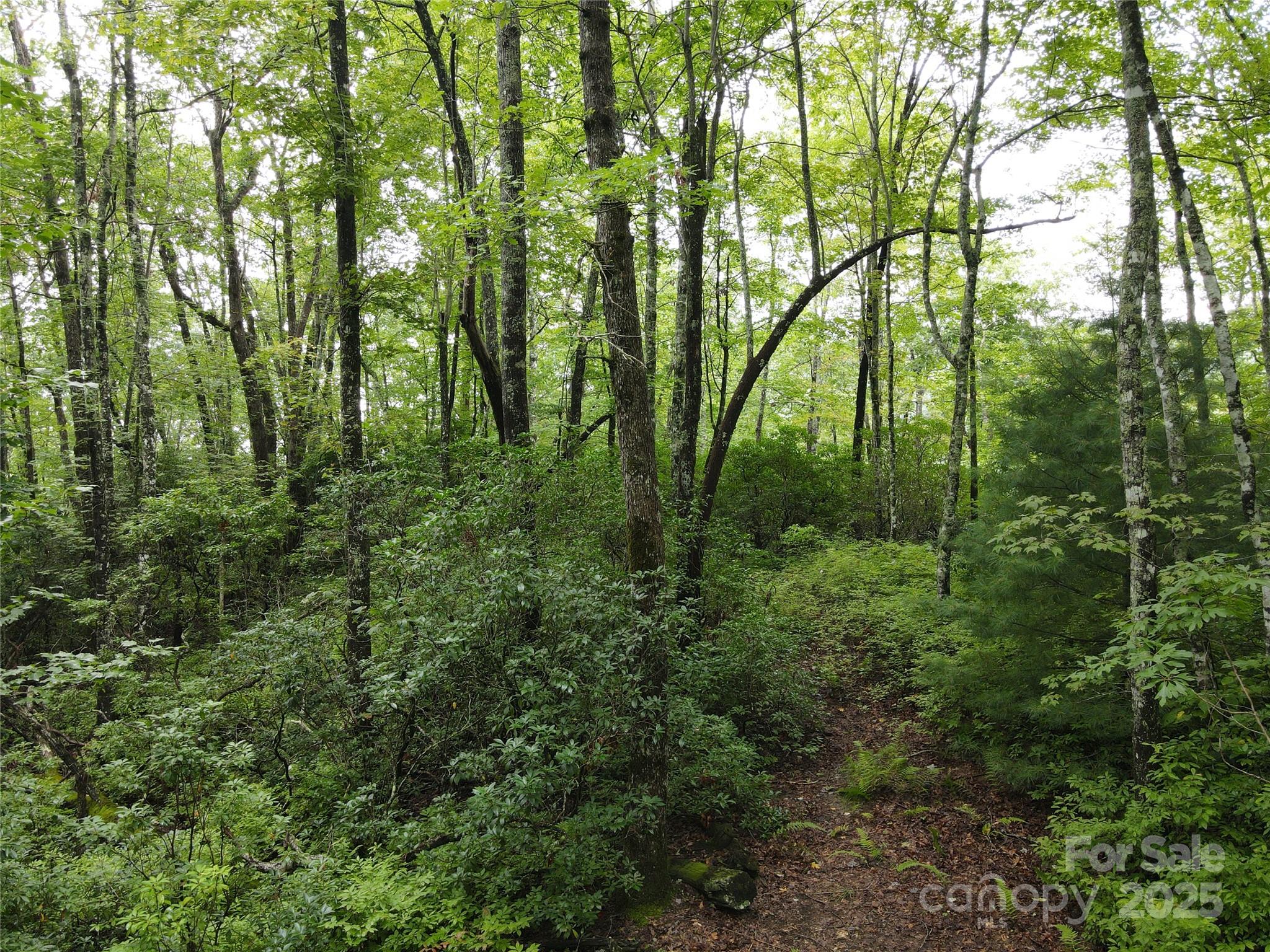 147 Hummingbird Hollow