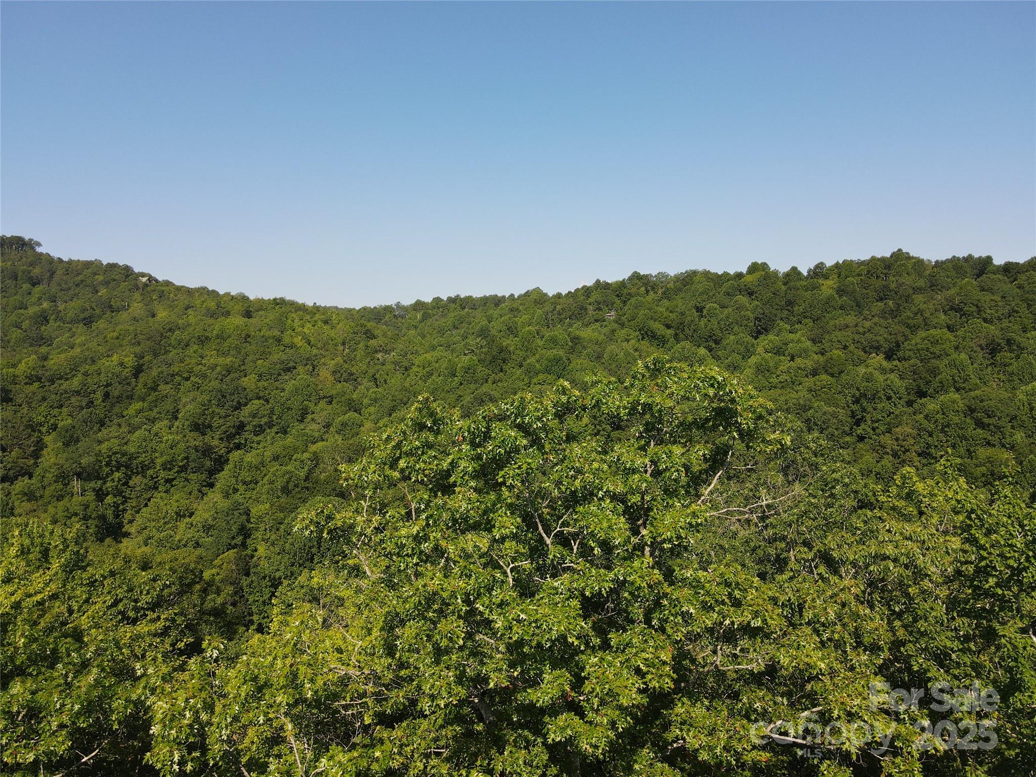 147 Hummingbird Hollow