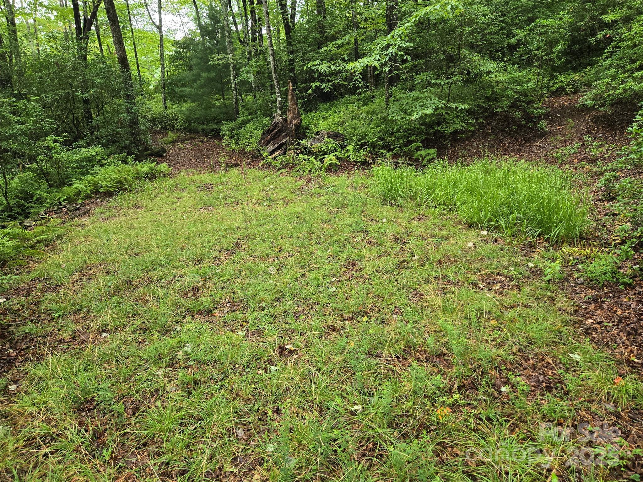 147 Hummingbird Hollow