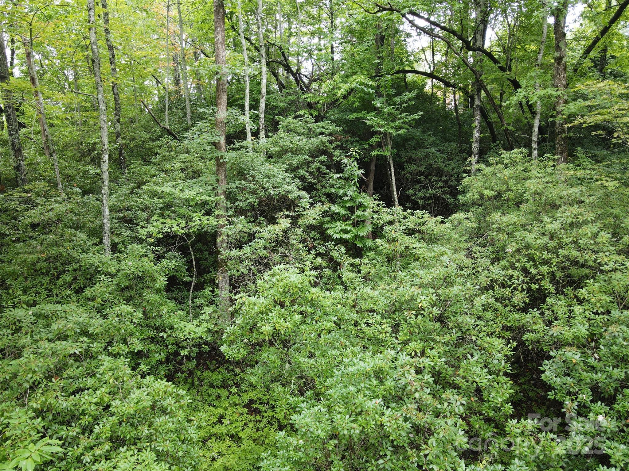 147 Hummingbird Hollow