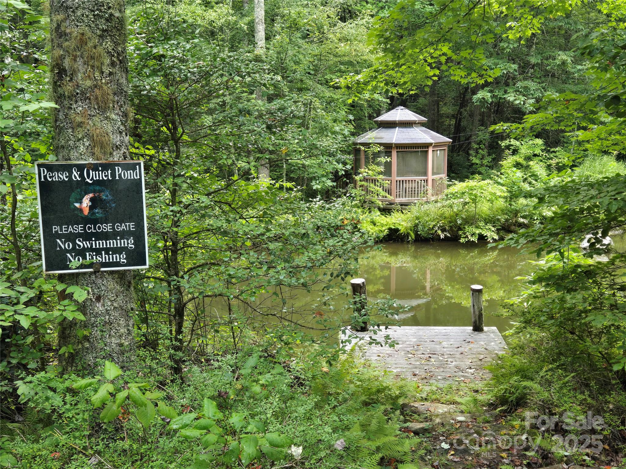 147 Hummingbird Hollow
