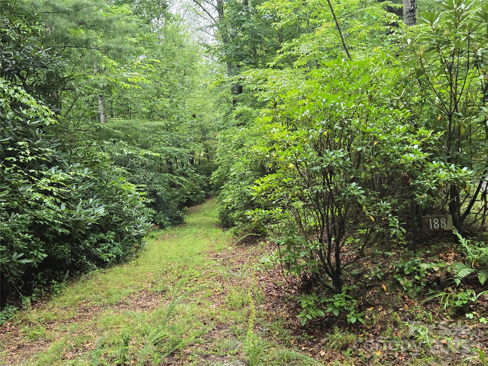 147 Hummingbird Hollow