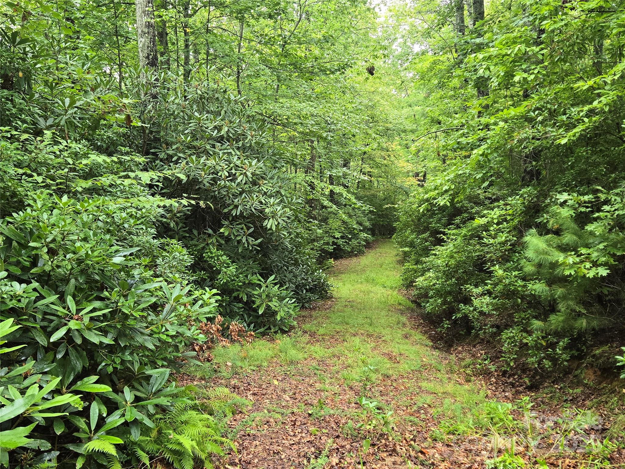 147 Hummingbird Hollow