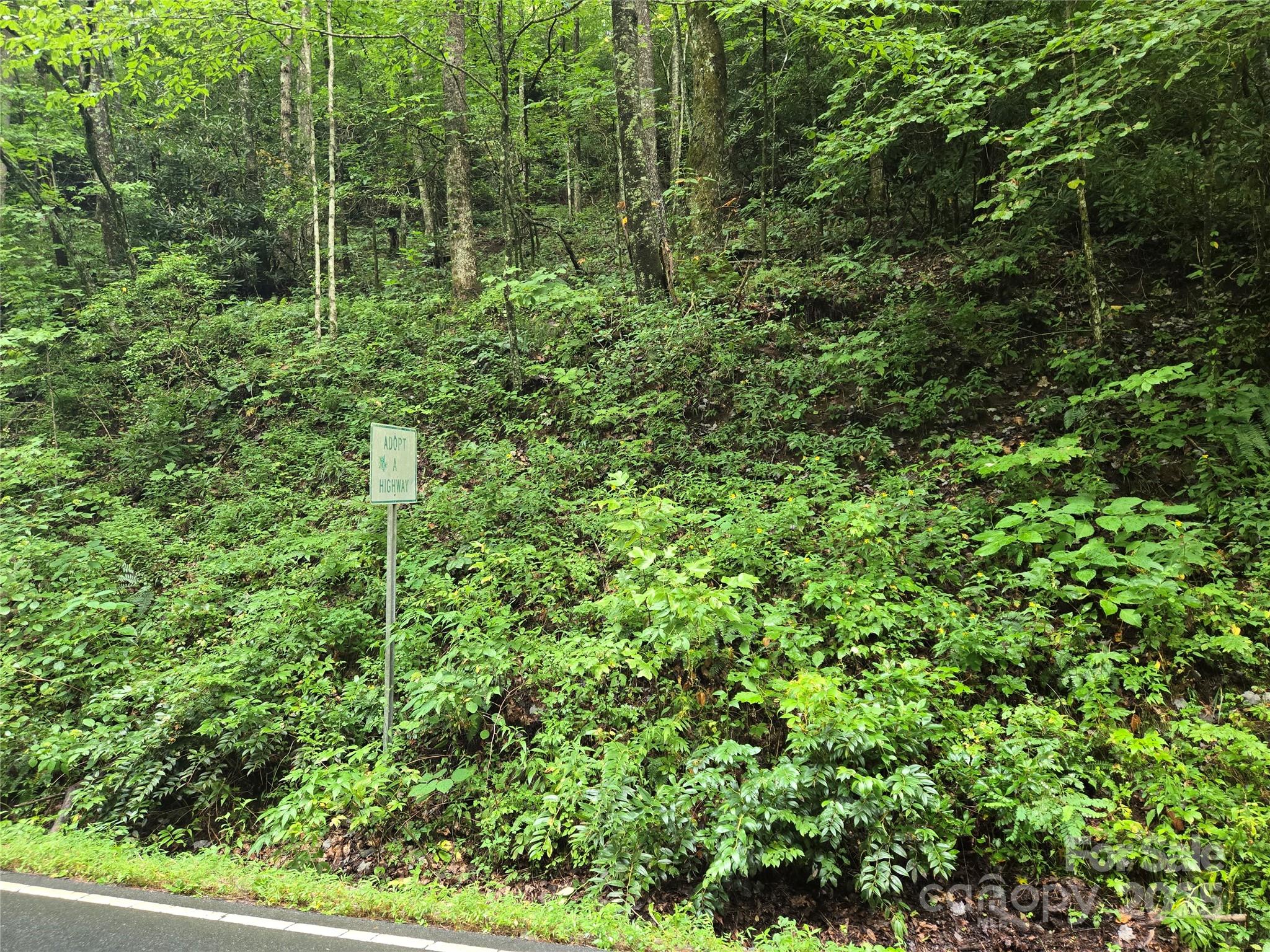 147 Hummingbird Hollow