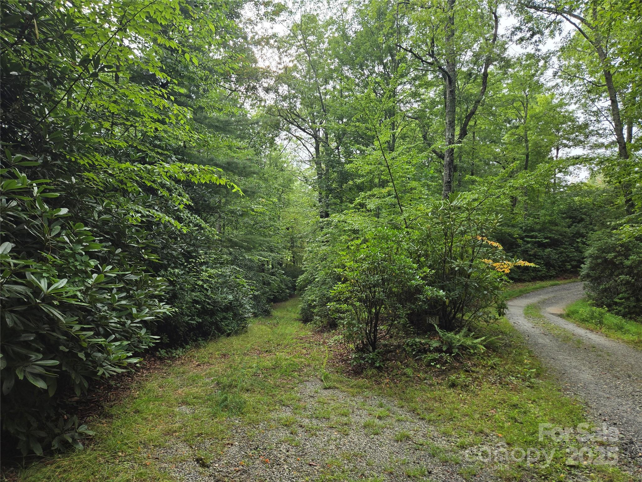 147 Hummingbird Hollow