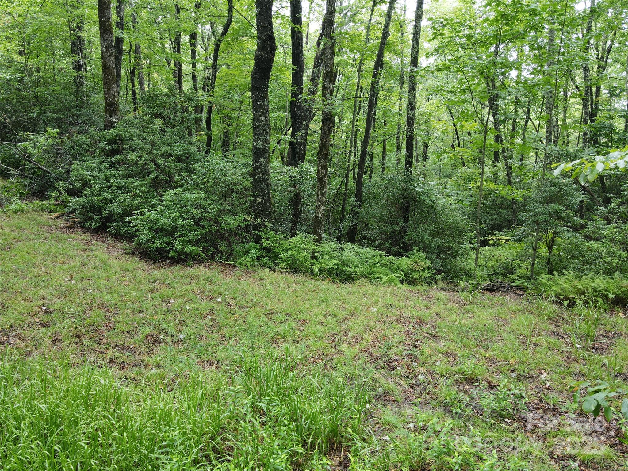 147 Hummingbird Hollow