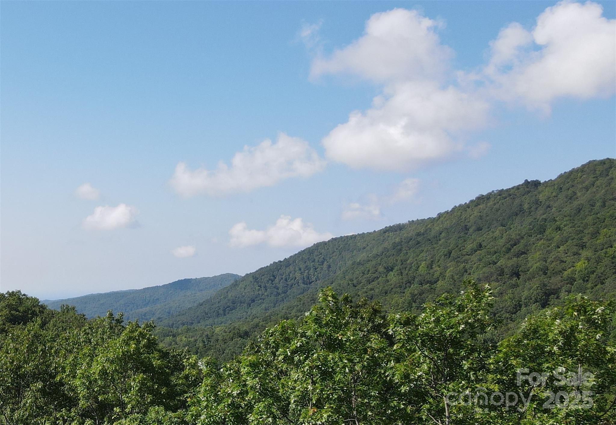 147 Hummingbird Hollow