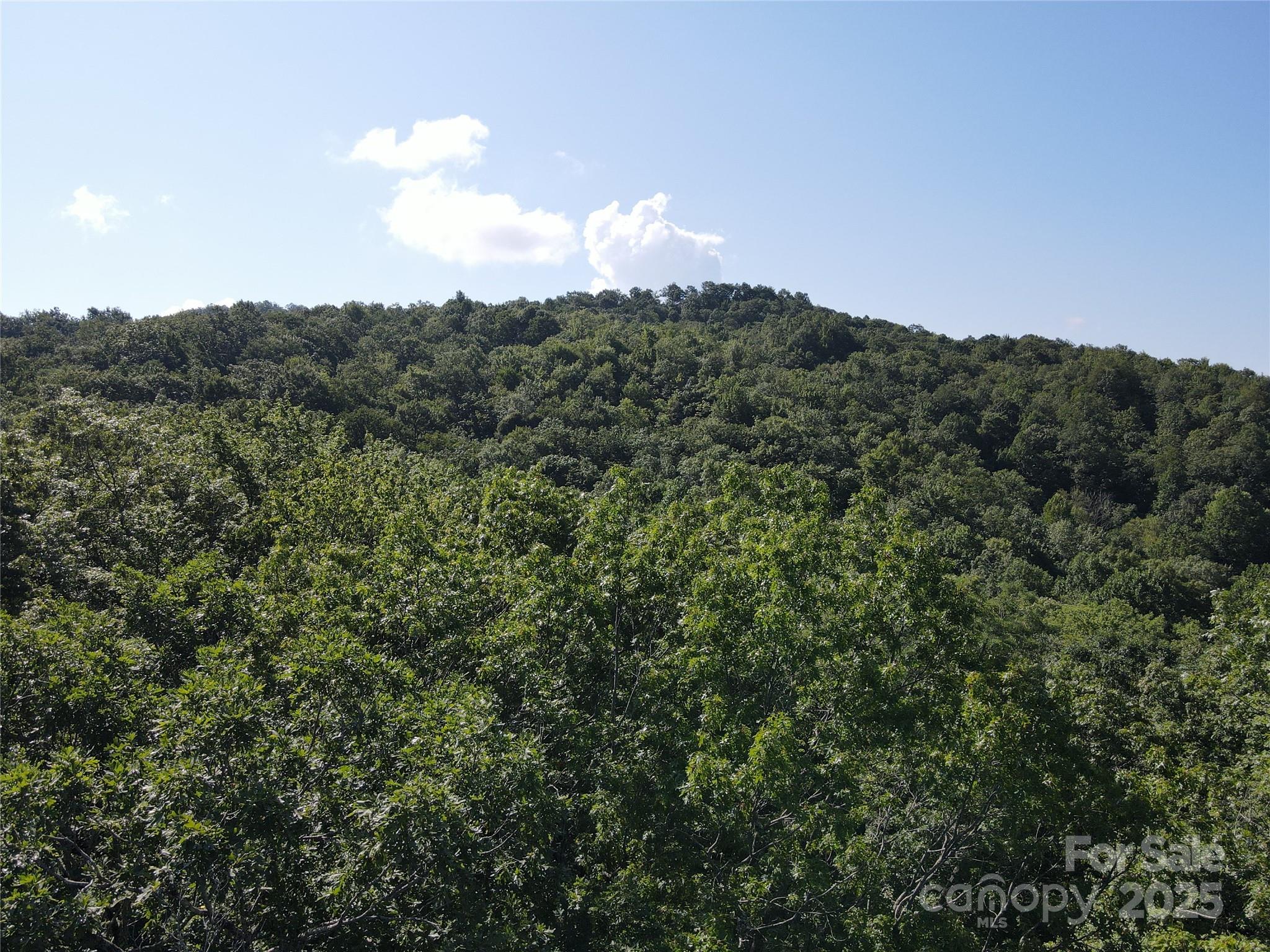 147 Hummingbird Hollow