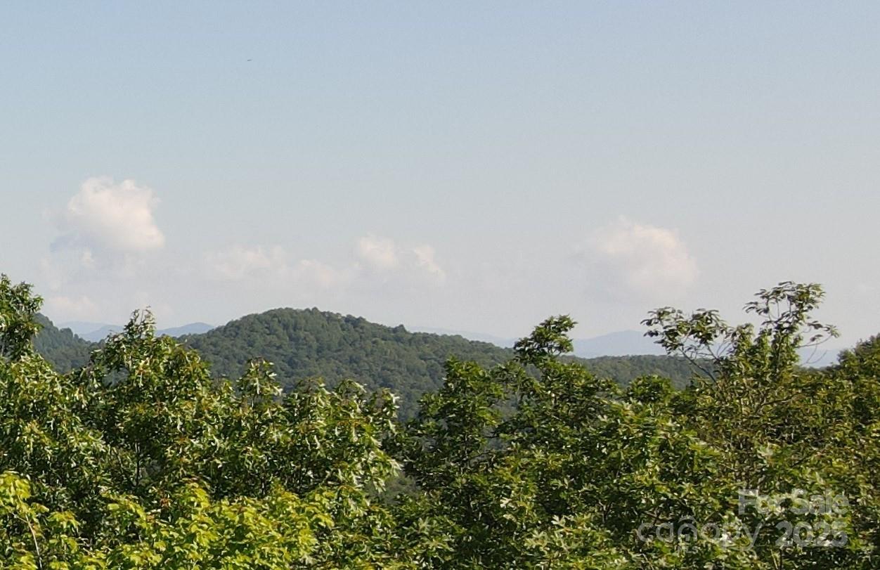 147 Hummingbird Hollow