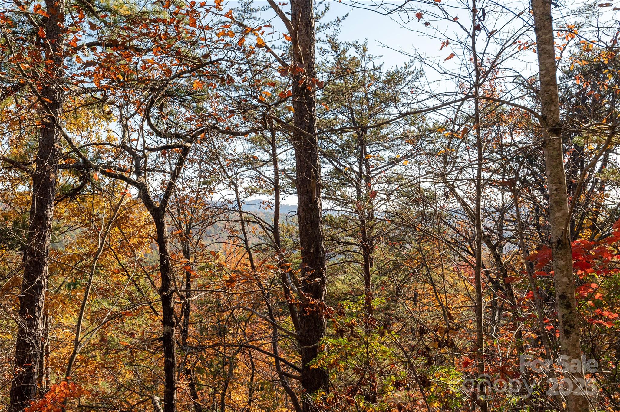 2355 Round Mountain Road