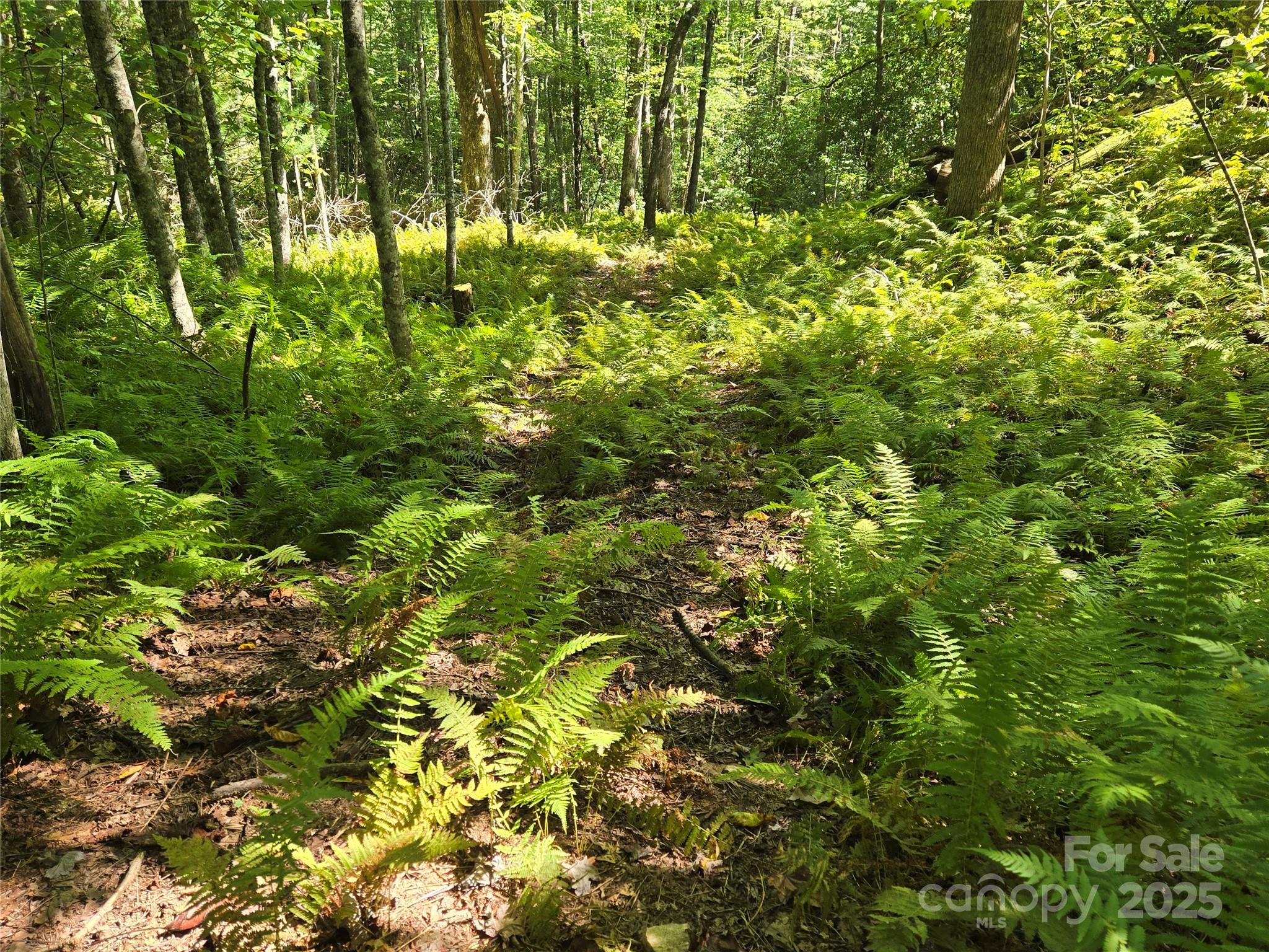 88 Ladd Ridge