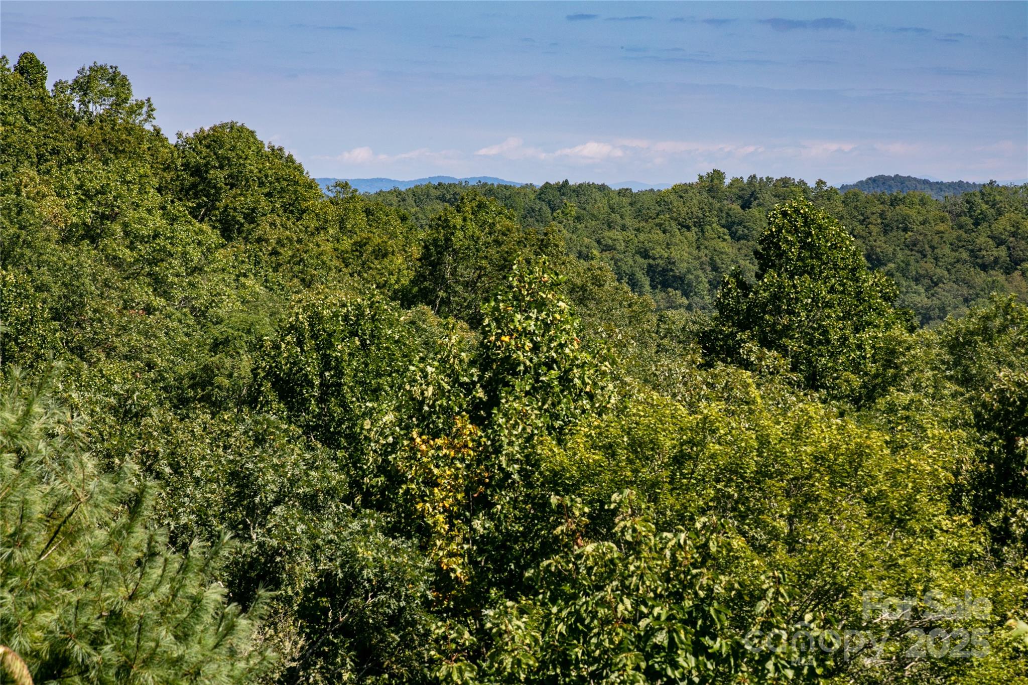 88 Ladd Ridge