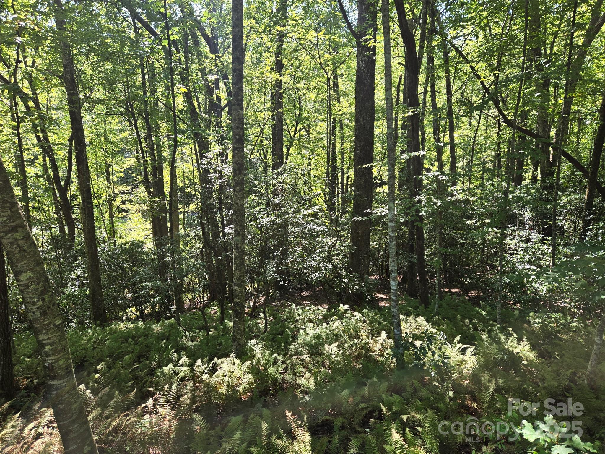 88 Ladd Ridge