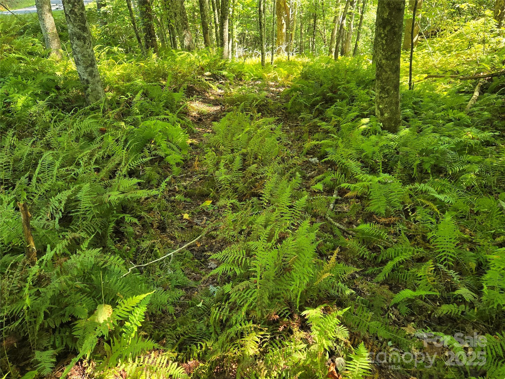 88 Ladd Ridge