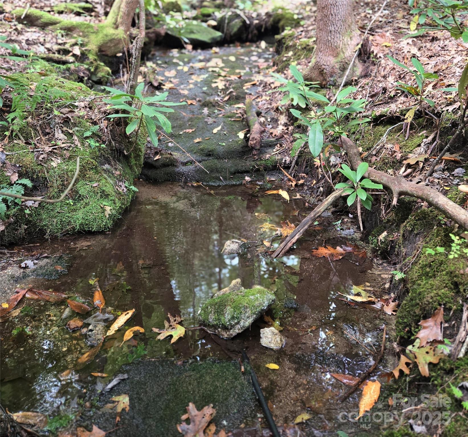 557 Country Club Estates Drive