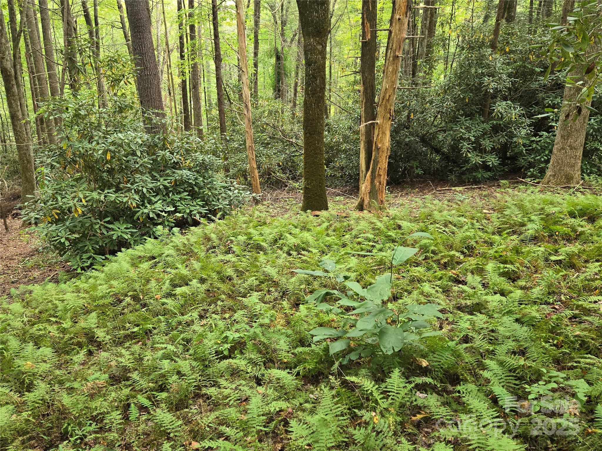 557 Country Club Estates Drive