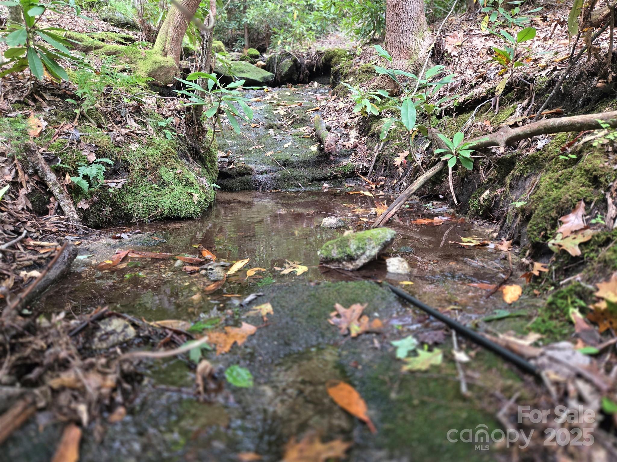 557 Country Club Estates Drive