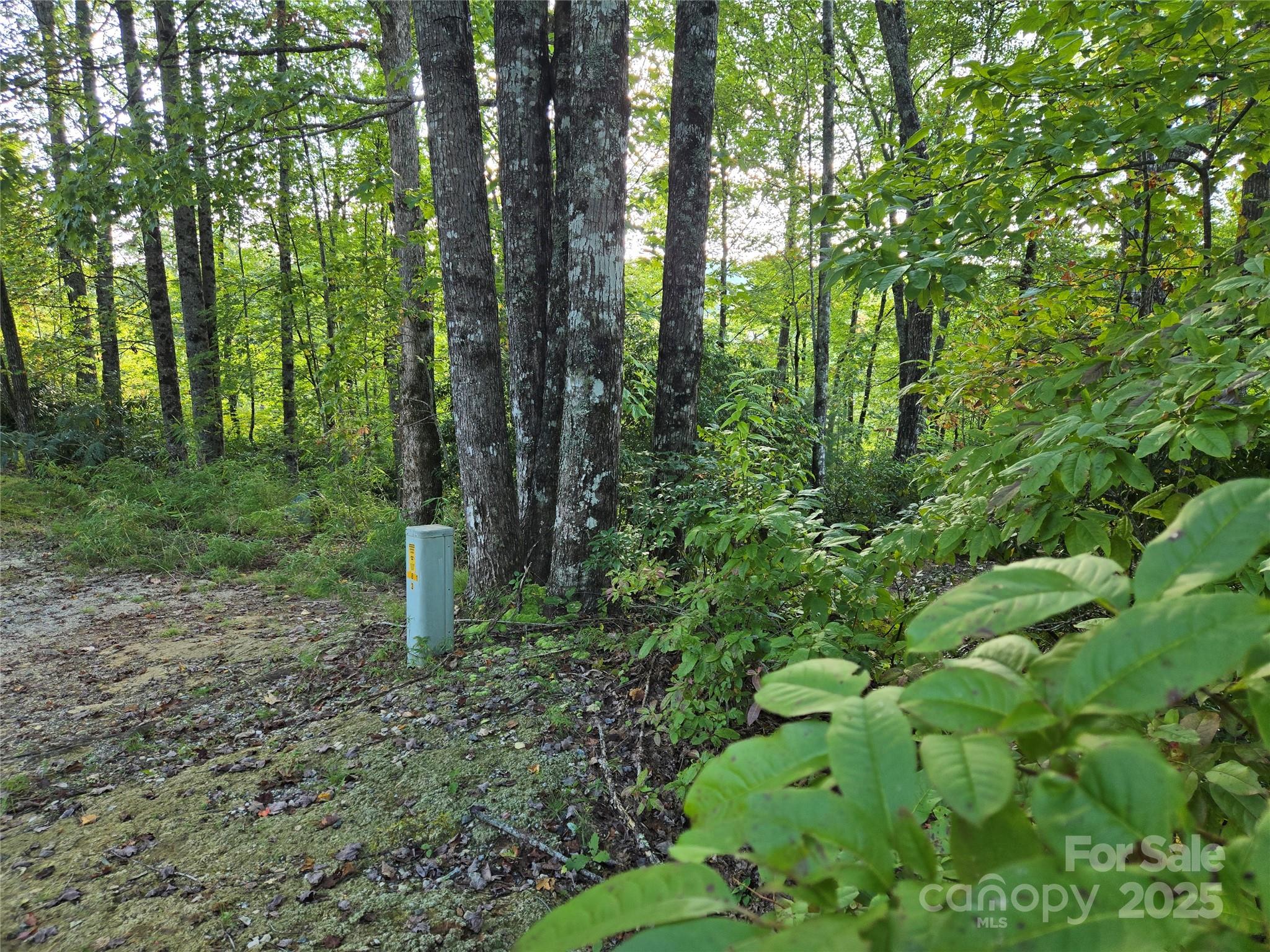303 Ladd Ridge