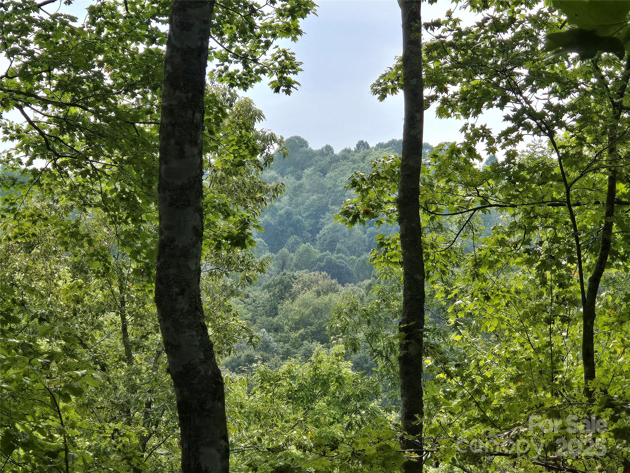 303 Ladd Ridge