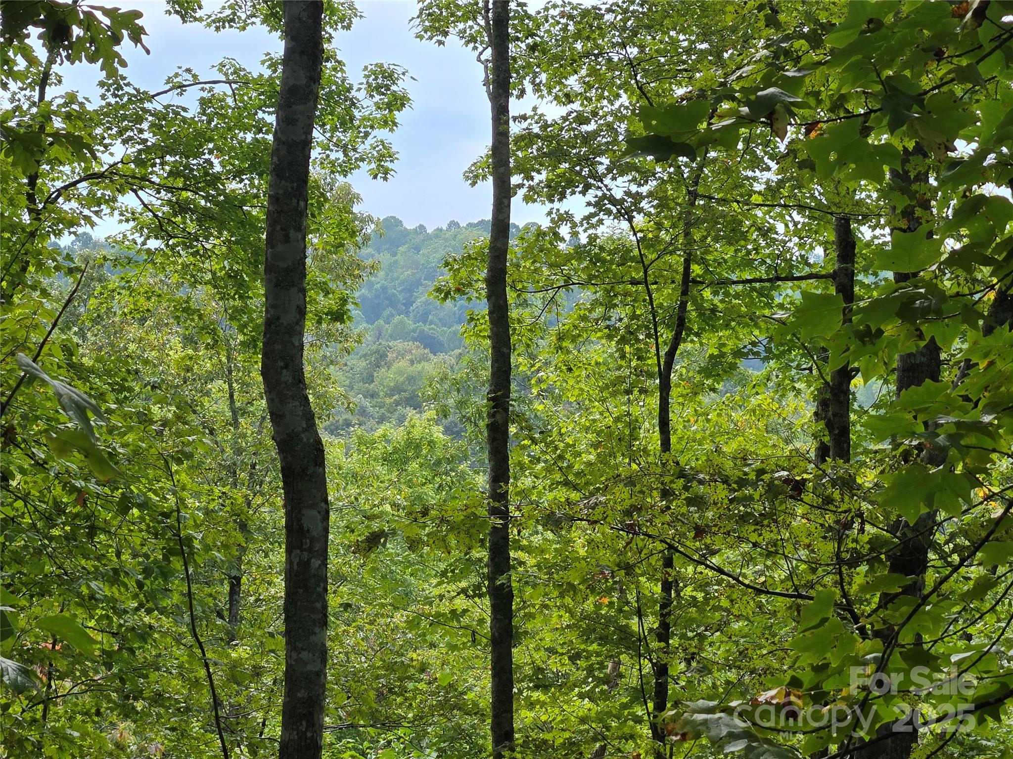 303 Ladd Ridge