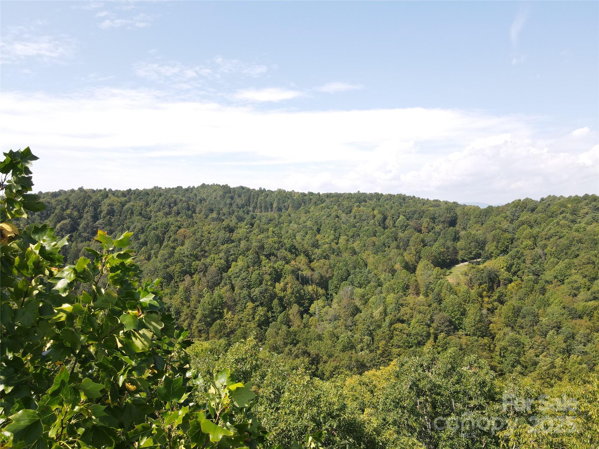 303 Ladd Ridge