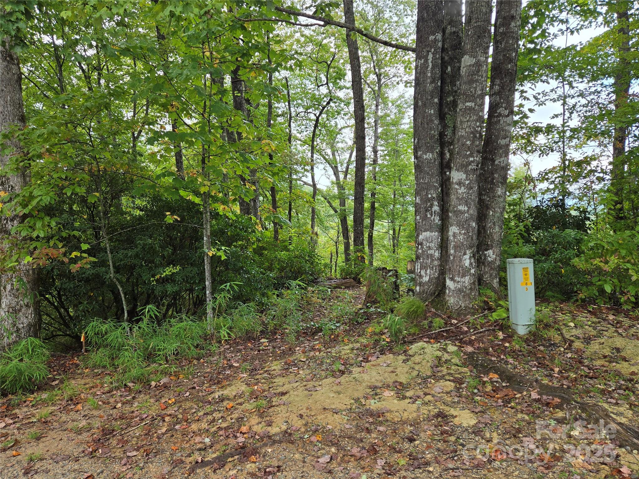 303 Ladd Ridge