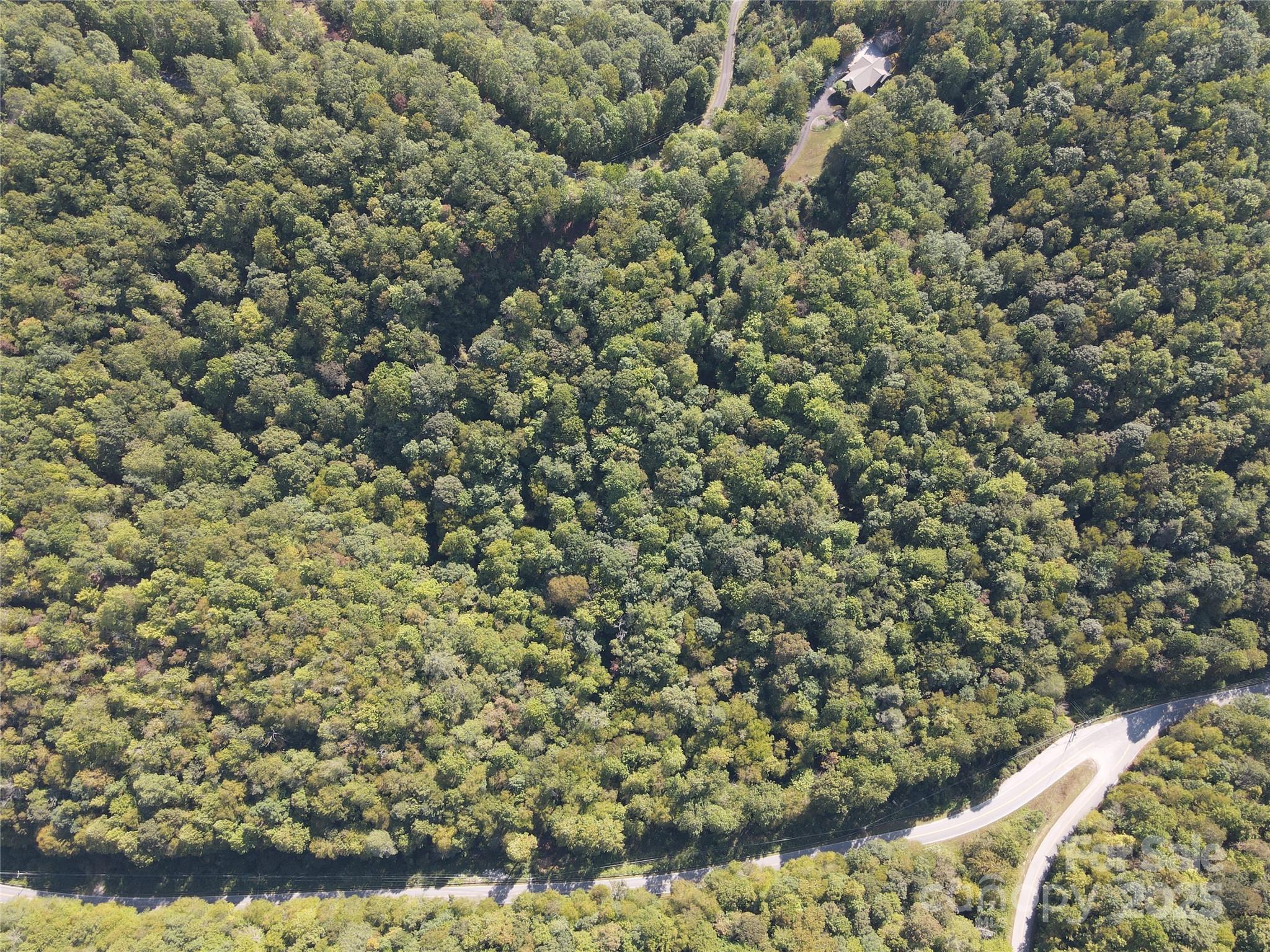 303 Ladd Ridge